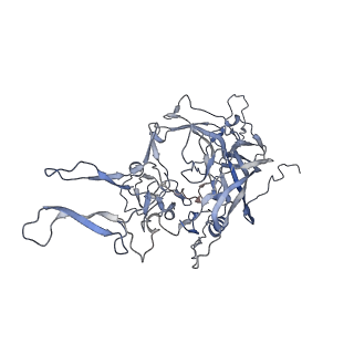 21004_6v10_n_v1-3
genome-containing AAV8 particles