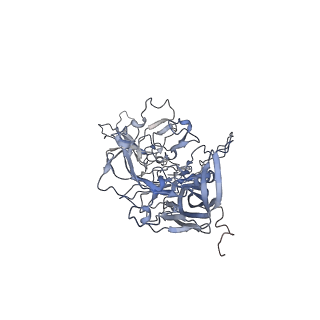 21004_6v10_o_v1-3
genome-containing AAV8 particles