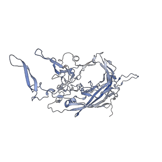 21004_6v10_p_v1-3
genome-containing AAV8 particles