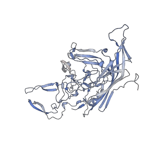 21004_6v10_q_v1-3
genome-containing AAV8 particles