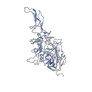 21004_6v10_r_v1-3
genome-containing AAV8 particles