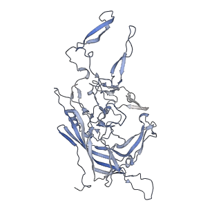 21004_6v10_v_v1-3
genome-containing AAV8 particles