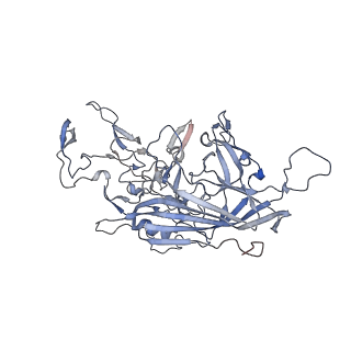 21004_6v10_w_v1-3
genome-containing AAV8 particles