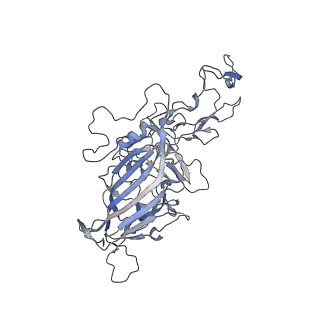 21004_6v10_x_v1-3
genome-containing AAV8 particles