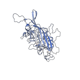 21004_6v10_y_v1-3
genome-containing AAV8 particles