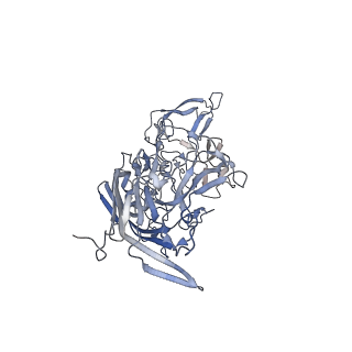 21004_6v10_z_v1-3
genome-containing AAV8 particles