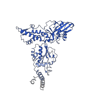 21009_6v11_A_v1-2
Lon Protease from Yersinia pestis