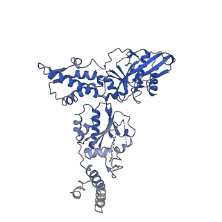 21009_6v11_A_v1-3
Lon Protease from Yersinia pestis