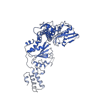 21009_6v11_B_v1-2
Lon Protease from Yersinia pestis