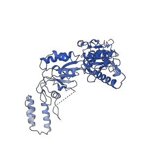 21009_6v11_C_v1-3
Lon Protease from Yersinia pestis