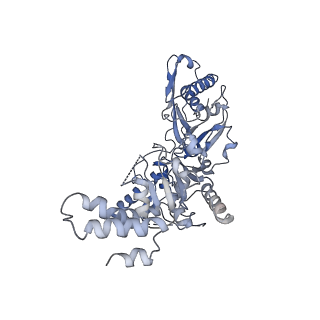 21009_6v11_E_v1-2
Lon Protease from Yersinia pestis