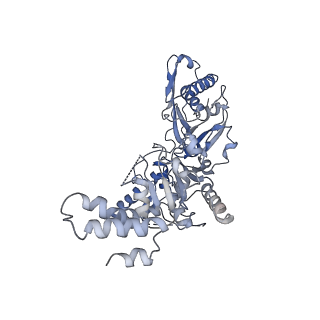 21009_6v11_E_v1-3
Lon Protease from Yersinia pestis