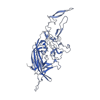 21010_6v12_4_v1-3
Empty AAV8 particles