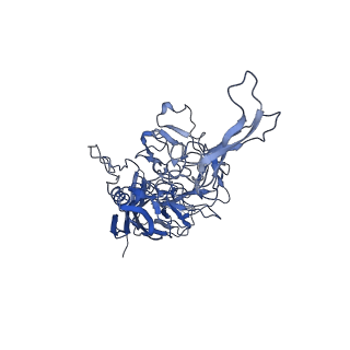 21010_6v12_6_v1-3
Empty AAV8 particles