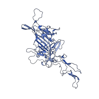 21010_6v12_A_v1-3
Empty AAV8 particles