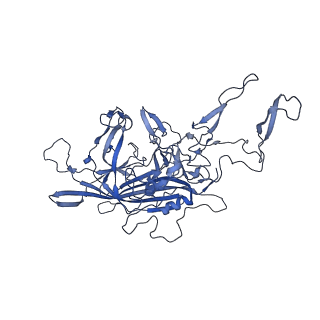 21010_6v12_B_v1-3
Empty AAV8 particles