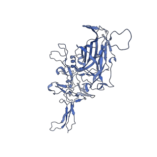 21010_6v12_E_v1-3
Empty AAV8 particles