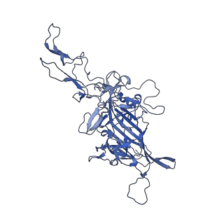 21010_6v12_J_v1-3
Empty AAV8 particles