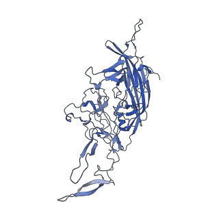 21010_6v12_N_v1-3
Empty AAV8 particles