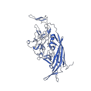 21010_6v12_O_v1-3
Empty AAV8 particles