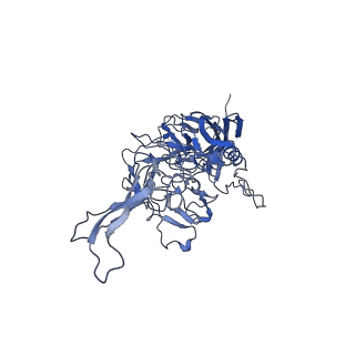 21010_6v12_U_v1-3
Empty AAV8 particles