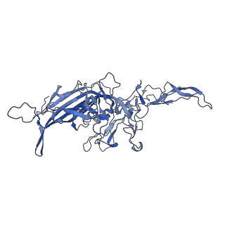 21010_6v12_W_v1-3
Empty AAV8 particles