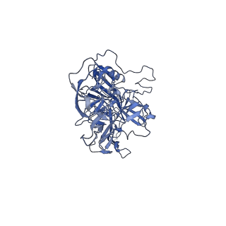 21010_6v12_Y_v1-3
Empty AAV8 particles