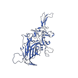 21010_6v12_a_v1-3
Empty AAV8 particles