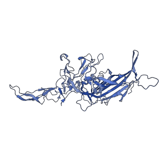 21010_6v12_b_v1-3
Empty AAV8 particles