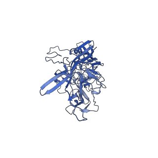 21010_6v12_d_v1-3
Empty AAV8 particles