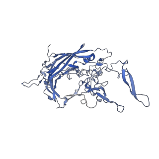 21010_6v12_e_v1-3
Empty AAV8 particles