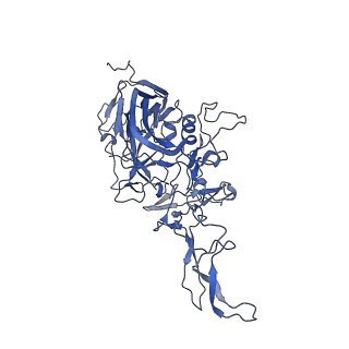 21010_6v12_g_v1-3
Empty AAV8 particles