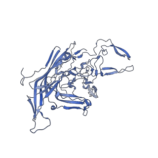 21010_6v12_h_v1-3
Empty AAV8 particles