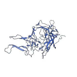 21010_6v12_n_v1-3
Empty AAV8 particles