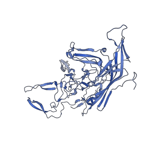 21010_6v12_q_v1-3
Empty AAV8 particles