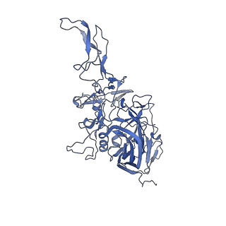 21010_6v12_r_v1-3
Empty AAV8 particles