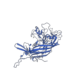 21010_6v12_s_v1-3
Empty AAV8 particles