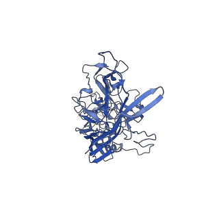 21010_6v12_u_v1-3
Empty AAV8 particles