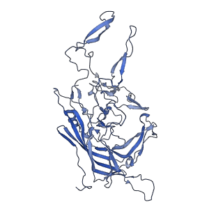 21010_6v12_v_v1-3
Empty AAV8 particles