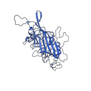 21010_6v12_y_v1-3
Empty AAV8 particles