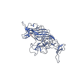 21011_6v1g_1_v1-2
Genome-containing AAVrh.10