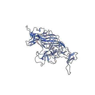 21011_6v1g_1_v1-3
Genome-containing AAVrh.10