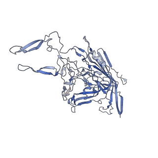 21011_6v1g_2_v1-3
Genome-containing AAVrh.10