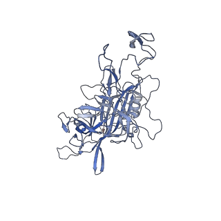 21011_6v1g_3_v1-3
Genome-containing AAVrh.10