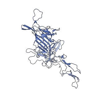 21011_6v1g_4_v1-3
Genome-containing AAVrh.10