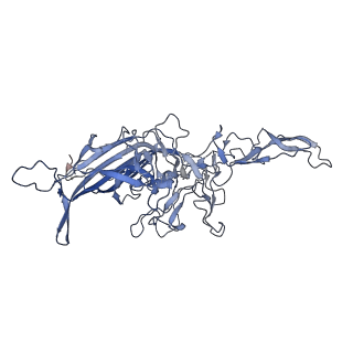 21011_6v1g_8_v1-3
Genome-containing AAVrh.10