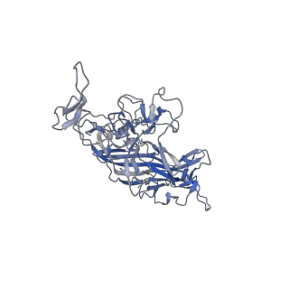 21011_6v1g_A_v1-3
Genome-containing AAVrh.10