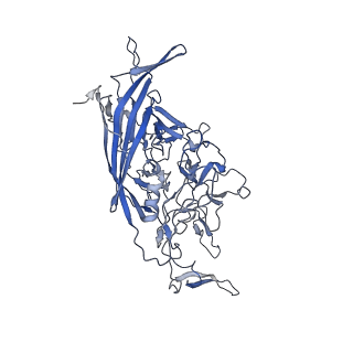 21011_6v1g_C_v1-3
Genome-containing AAVrh.10