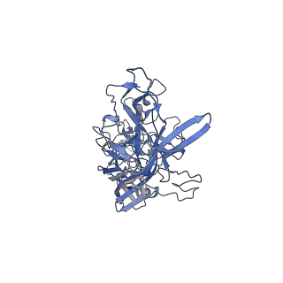 21011_6v1g_D_v1-2
Genome-containing AAVrh.10
