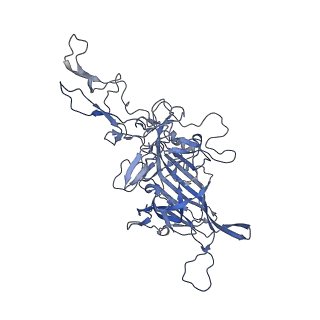 21011_6v1g_H_v1-3
Genome-containing AAVrh.10